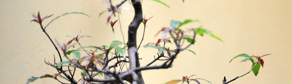 kredyt bez zaświadczeń